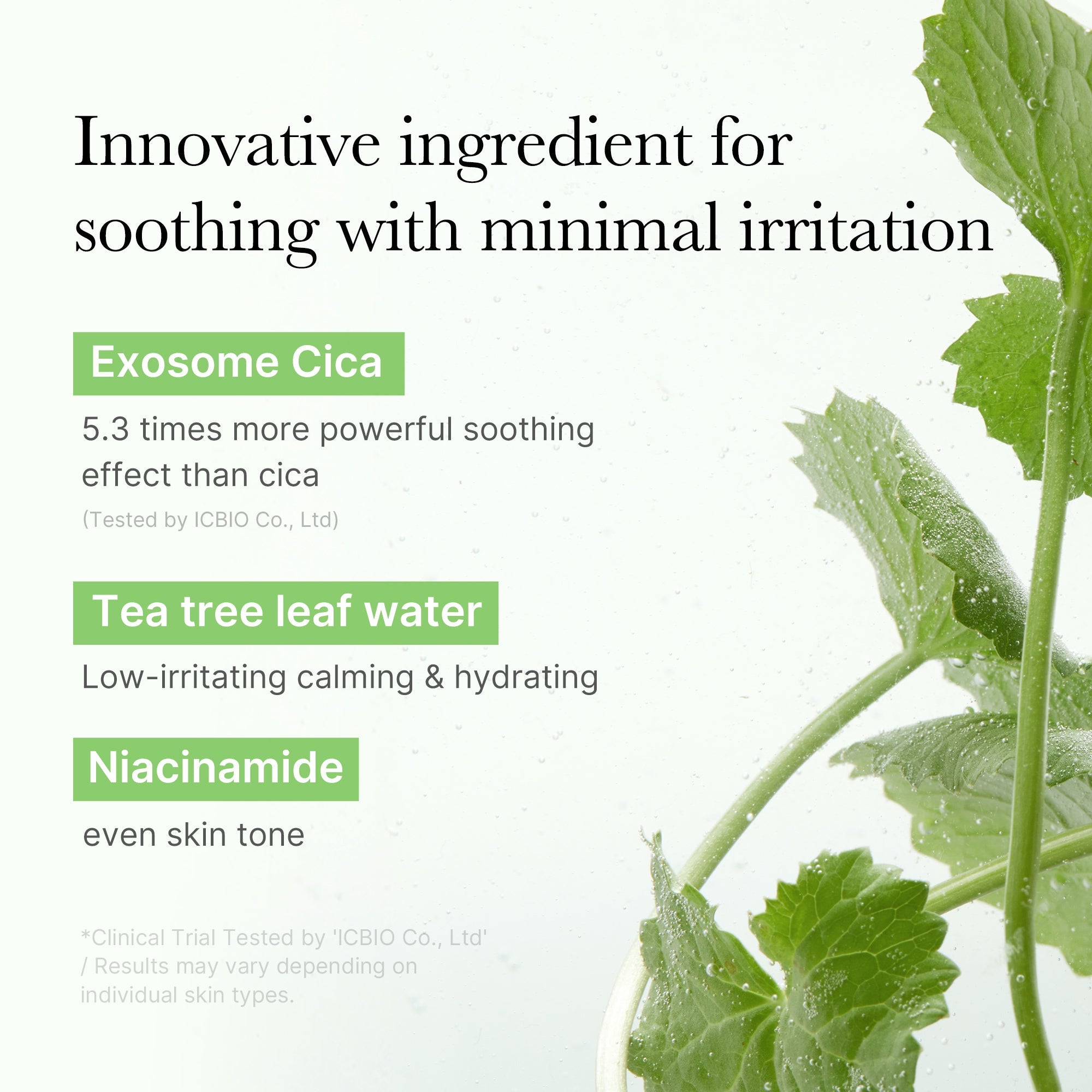 [GIFT] Exosome Cica Calming Toner Pads image 3